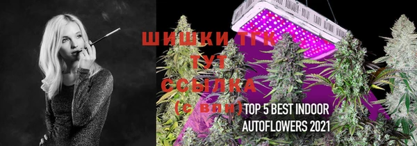 ECSTASY Елизово